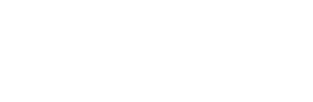Embark Cruises